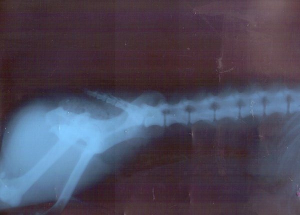 img002.jpg