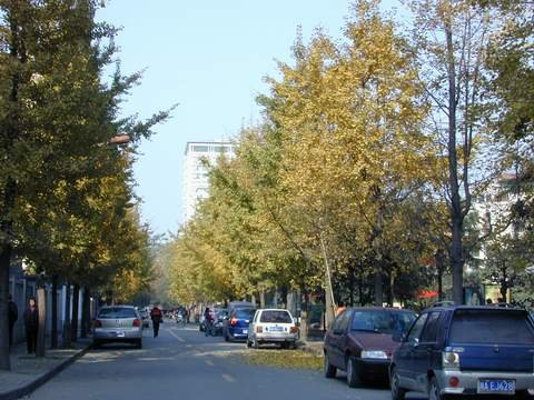 20041204_成都札記-宿舍小巷_01.jpg