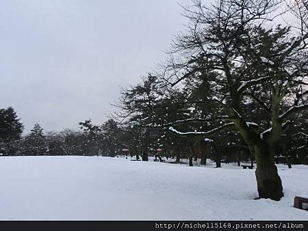 日本北陸-高岡古城公園