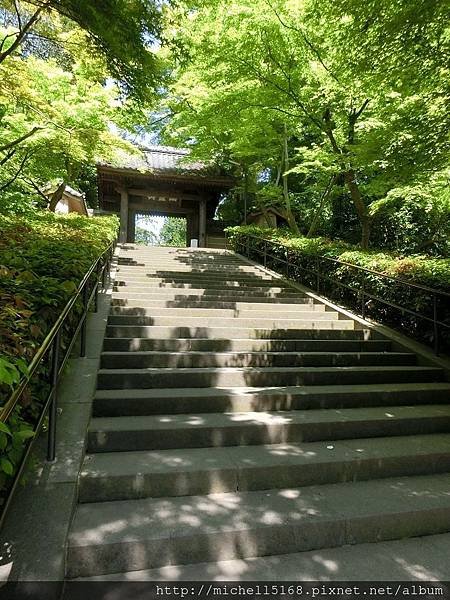 北鎌倉円覺寺→鶴岡八幡宮