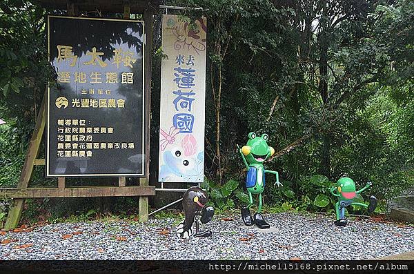 馬太鞍濕地：【馬太鞍休閒農業區】    