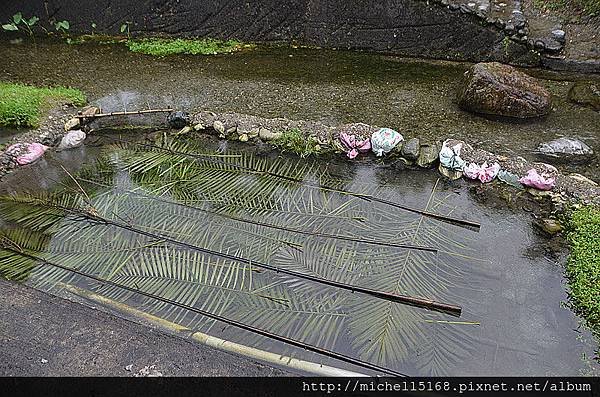 馬太鞍濕地：【馬太鞍休閒農業區】    