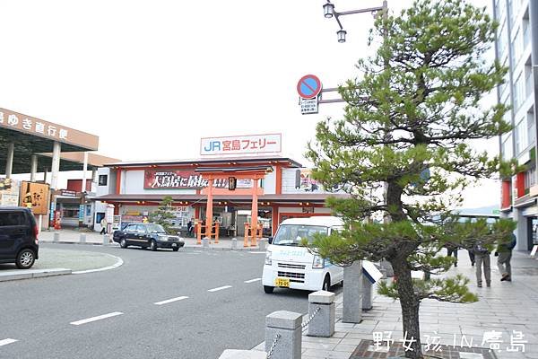 DSC_6260_meitu_16.jpg