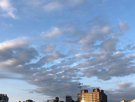 2019-06-02 (1)