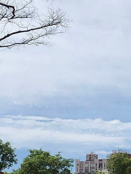 2019-07-06