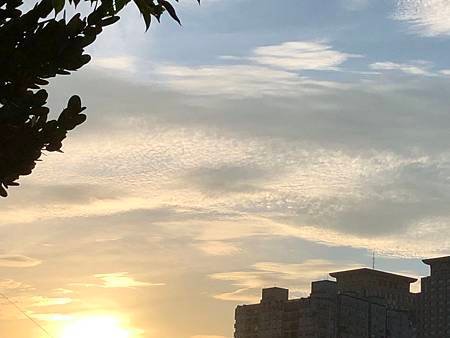 2019-07-06 (2)