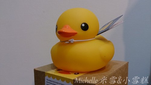toy-duck.jpg