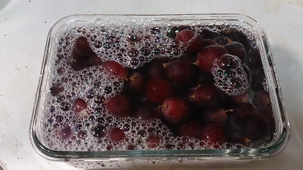 grape-middle