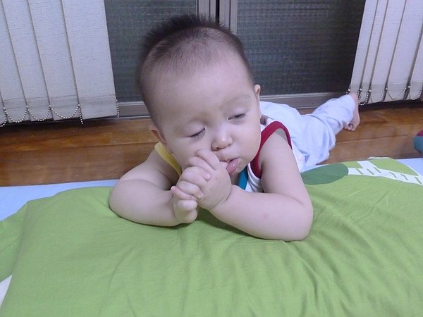 P1030551.JPG