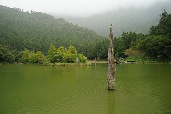 DSC00529