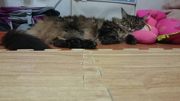 hime 140819