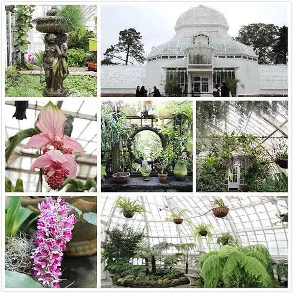 Conservatory of Flowers.jpg