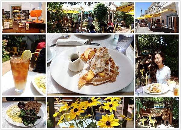 Sunflower Caffe.jpg