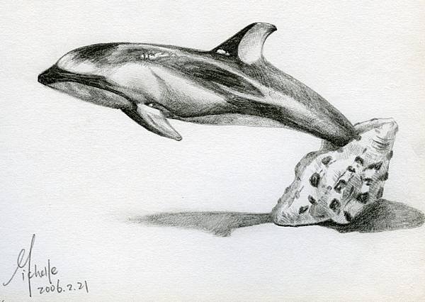 dolphin jumping out of a seashell