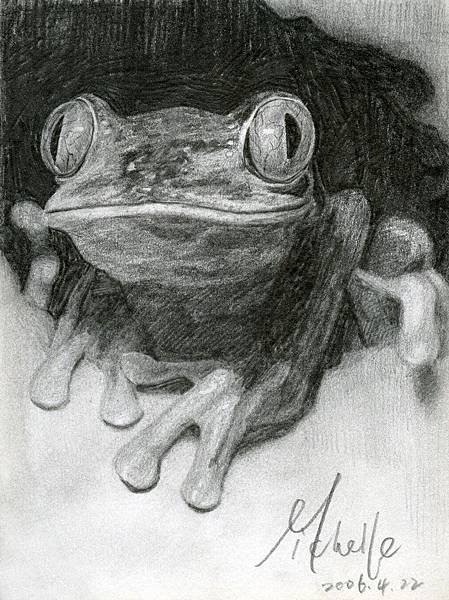 happy frog