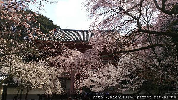 醍醐寺 仁王門