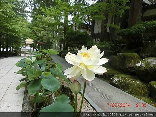 永平寺 5