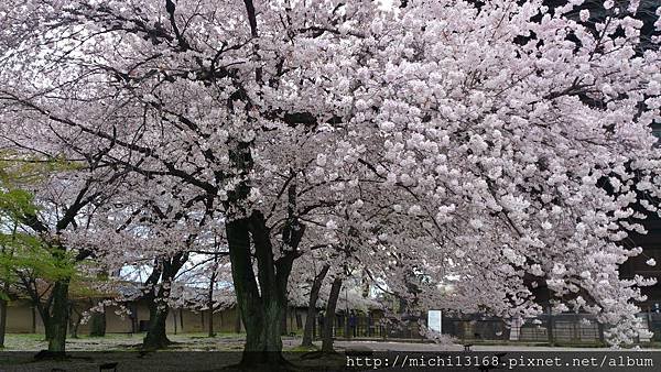 東寺 3