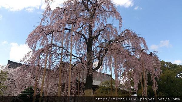 東寺 4