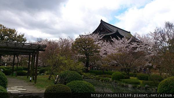 東寺 9