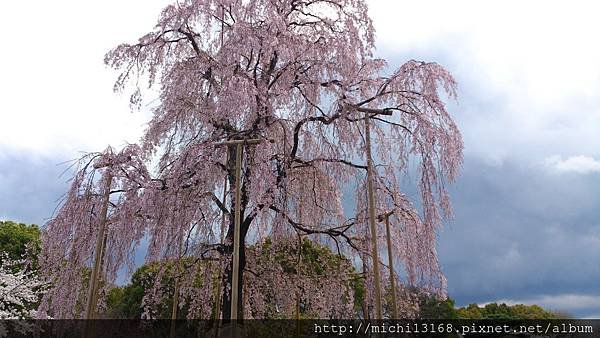 東寺 14