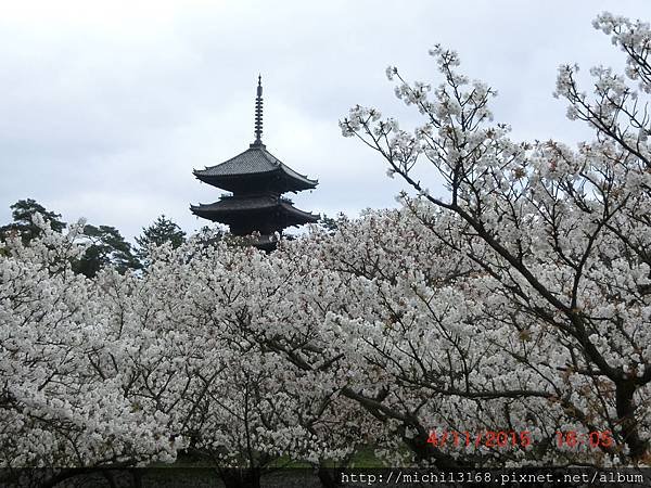 仁和寺 3