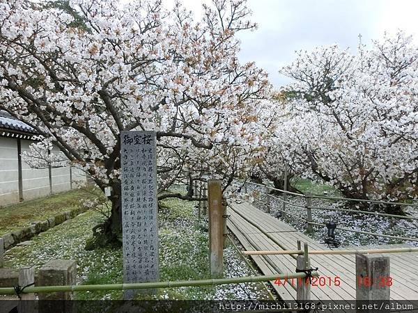 仁和寺 9