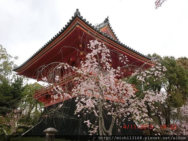 仁和寺 13