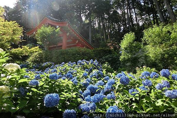 初夏京都行 1