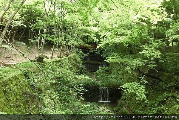 大原 6