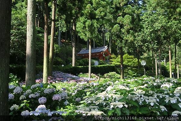 三室戶寺 14