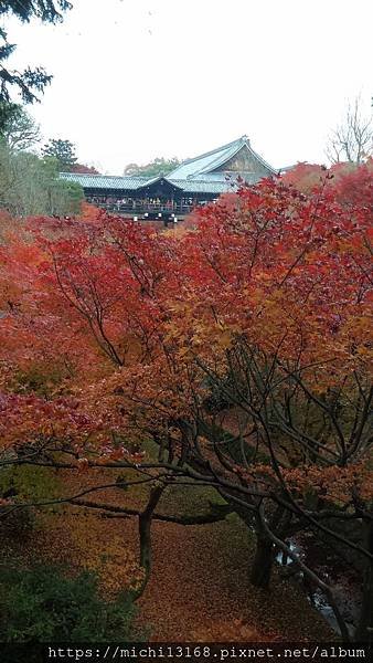 東福寺 2