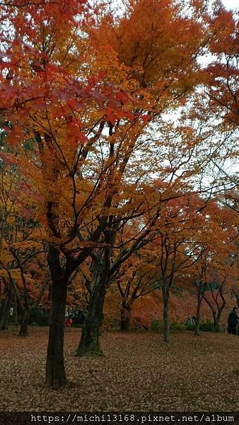 東福寺 11