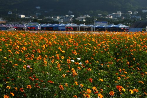 IMG_3040.JPG