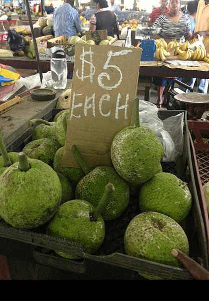 IMG_3112a.PNG