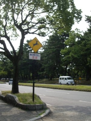 nara-0805-01.jpg