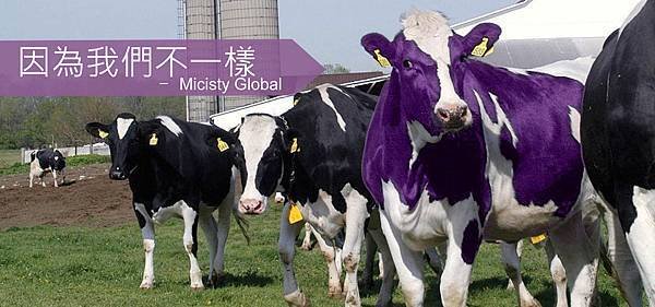 purple cow-2.jpg