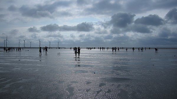IMG_1155.JPG