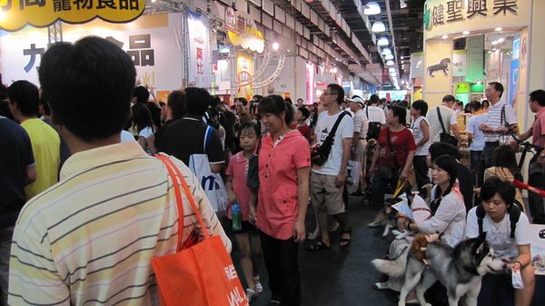 2009世貿寵物展