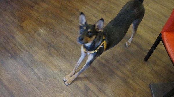 IMG_2957.JPG