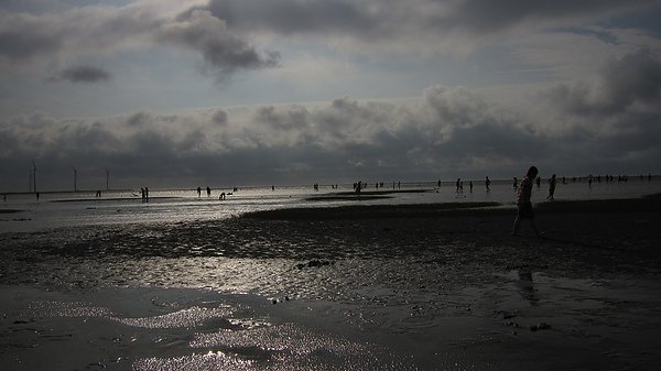 IMG_1177.JPG