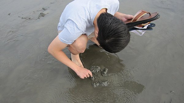 IMG_1153.JPG