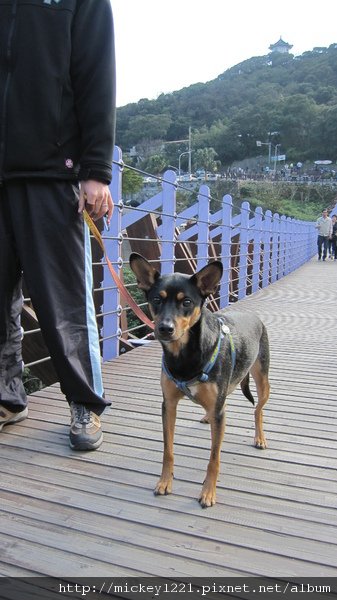IMG_2687.JPG