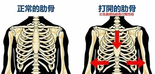 小腹.jpg