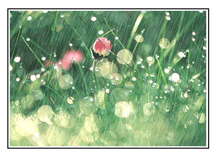 22_163191_1bfbf0bfcb3eeae.gif