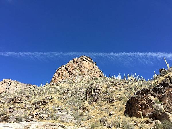 IMG_7199.JPG