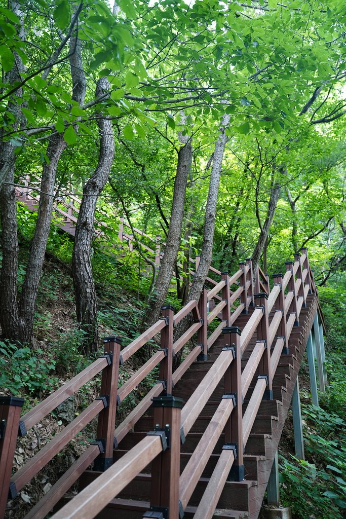 【韓國|慶尚北道|聞慶】新人氣景點「鳳鳴山吊橋」，免費又刺激