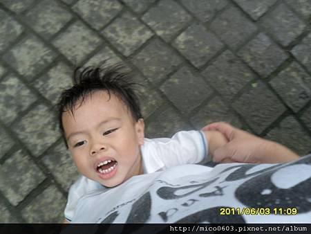 SAM_5103.JPG
