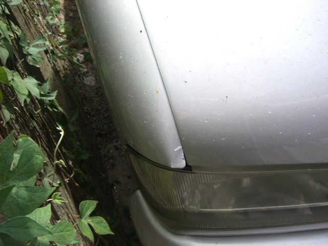 CIMG7733.JPG