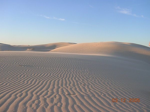DSCN7536.JPG